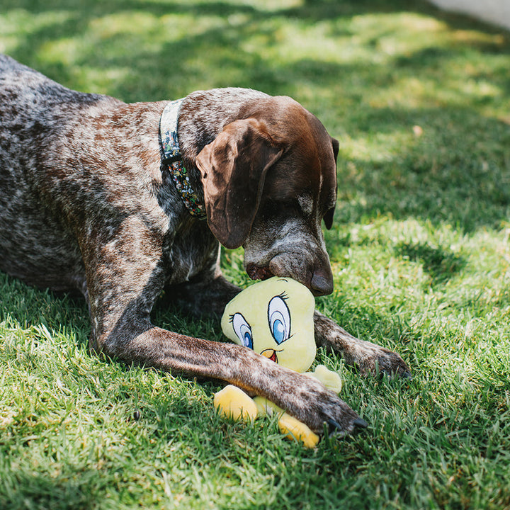 Dog Toys