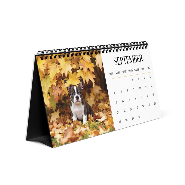 Darling Frenchie Puppy 2026 Desk Calendar Cute Puppy Desktop Calendar Dog Lover Gift Pet Desk Decor Cute Animal Desk Accessory Birthday Gift for Dog Mom
