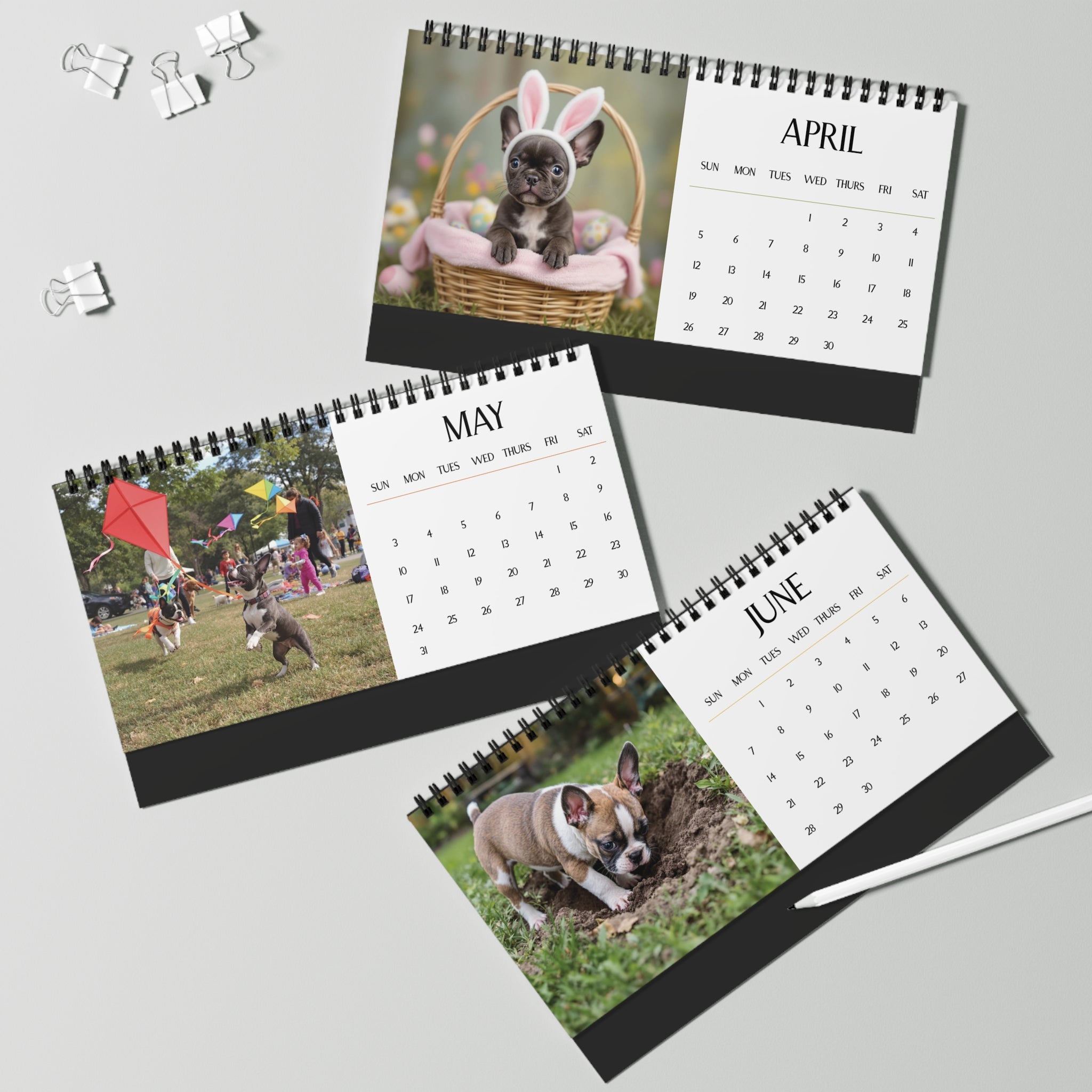 Darling Frenchie Puppy 2026 Desk Calendar Cute Puppy Desktop Calendar Dog Lover Gift Pet Desk Decor Cute Animal Desk Accessory Birthday Gift for Dog Mom