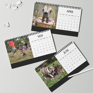 Darling Frenchie Puppy 2026 Desk Calendar Cute Puppy Desktop Calendar Dog Lover Gift Pet Desk Decor Cute Animal Desk Accessory Birthday Gift for Dog Mom