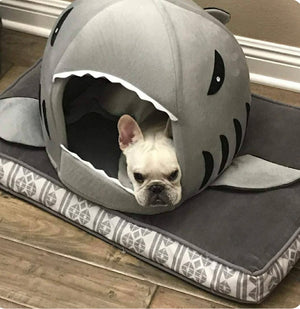 Cozy Shark Dog Bed | Where Comfort Meets Classic Cinema