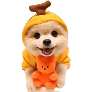 Costume, Cute And Cozy Costumes For Pet Frog |Carrot |Banana