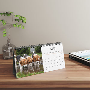 2026 Monthly Desktop Beagle Puppy Calendar Floppy Ears & Sweet Eyes Desktop Calendar Dog Lover Gift Beagle Mom Present Cute Pet Desk Accessory