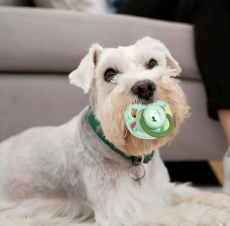 Dog Calming Binky - Anxiety Relief & Comfort Toy for Stressed Dogs