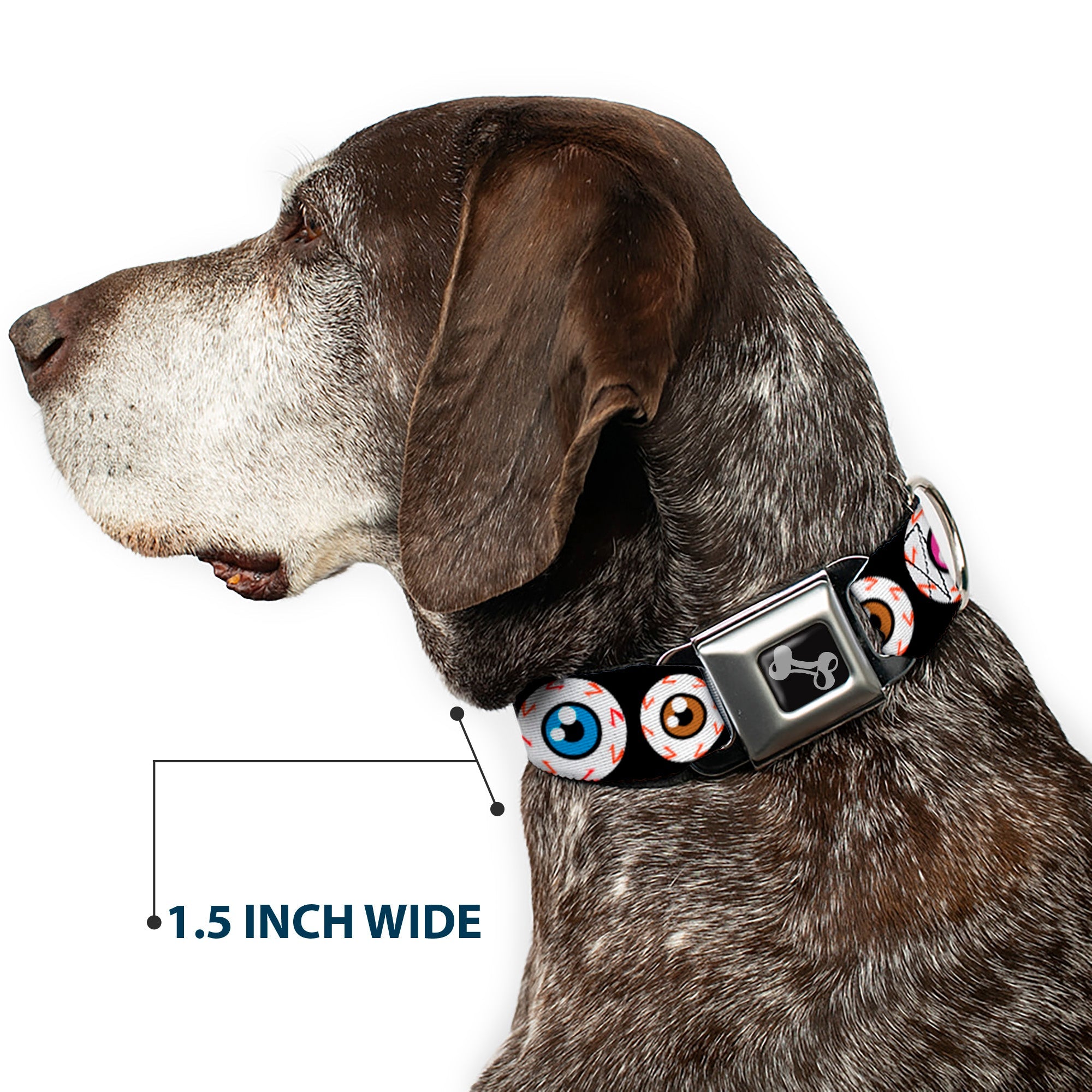 Dog Bone Seatbelt Buckle Collar - Eyeballs Black/Multi Color