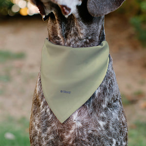 Pet Bandana - Rapunzel NEVER STOP EXPLORING Castle Pose Beige/Red/White