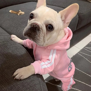 Dog Jumpsuit Costume | Adidog Sweatshirt for Dogs | Dog Sweats |Workout Wear for Dogs