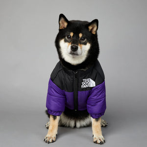 The Dog Face Fashion Warm Raincoat Dog Pet Padded Jacket |Puffer Jacket