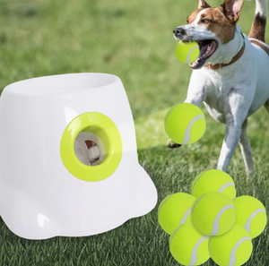 Automatic Interactive Dog Ball Launcher