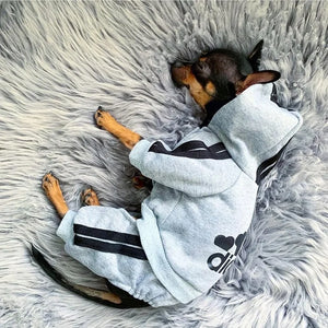 Dog Jumpsuit Costume | Adidog Sweatshirt for Dogs | Dog Sweats |Workout Wear for Dogs