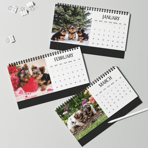 Cute Yorkie Puppy 2026 Desk Calendar Cute Puppy Desktop Calendar Dog Lover Gift Pet Desk Decor Cute Animal Desk Accessory Birthday Gift for Dog Mom
