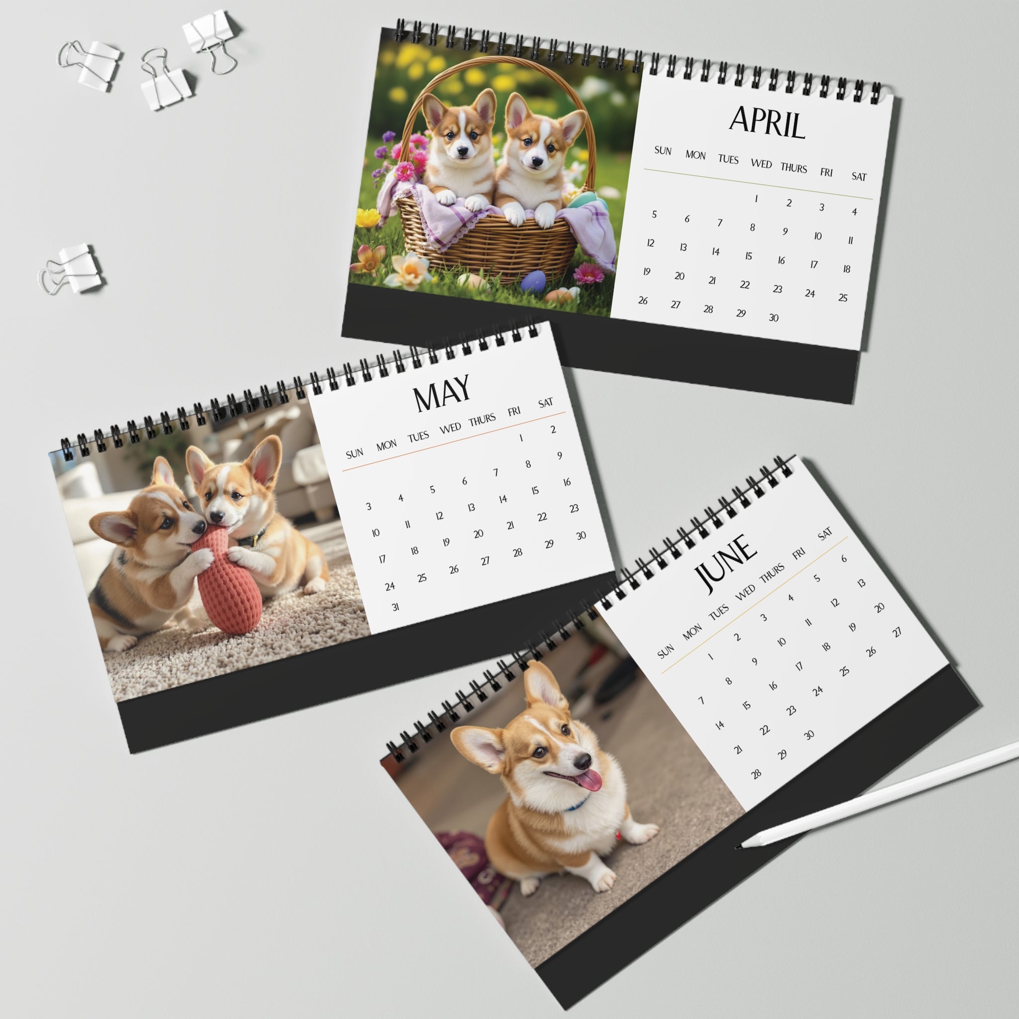 Corgi Puppies 2026 Desktop Calendar