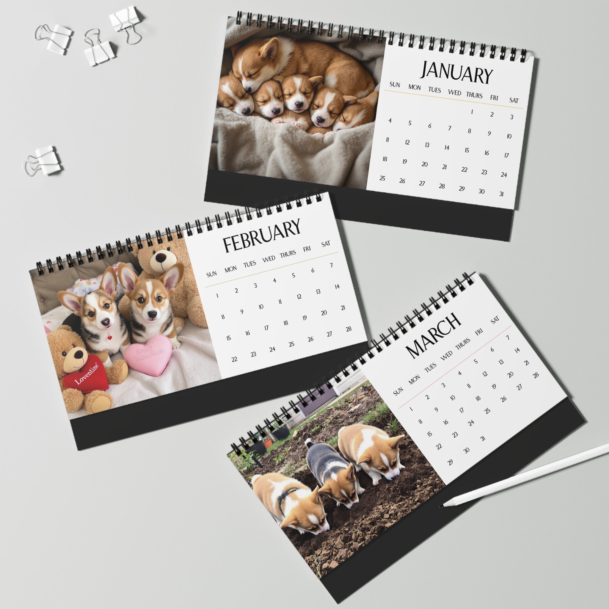 Corgi Puppies 2026 Desktop Calendar