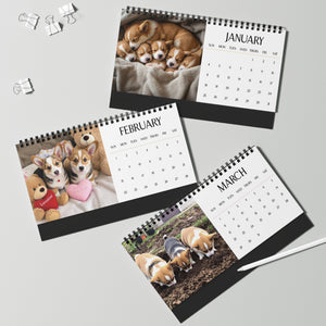 Corgi Puppies 2026 Desktop Calendar