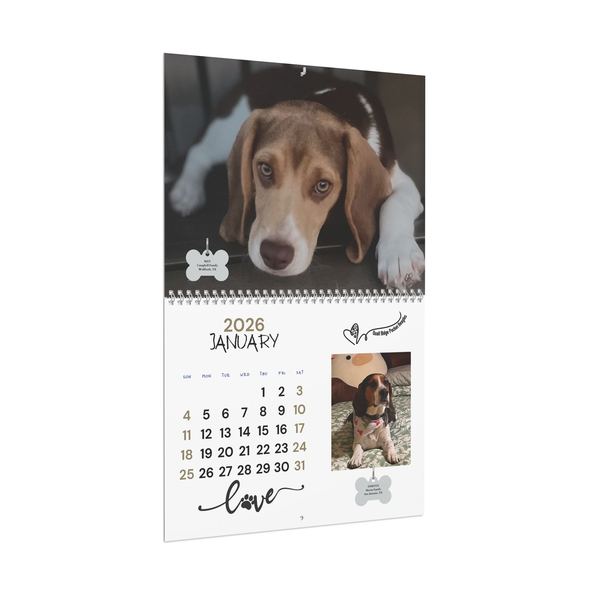 Quail Ridge Pocket Beagle 2026 Wall Calendar – Cute Beagle Photo Calendar for Dog Lovers