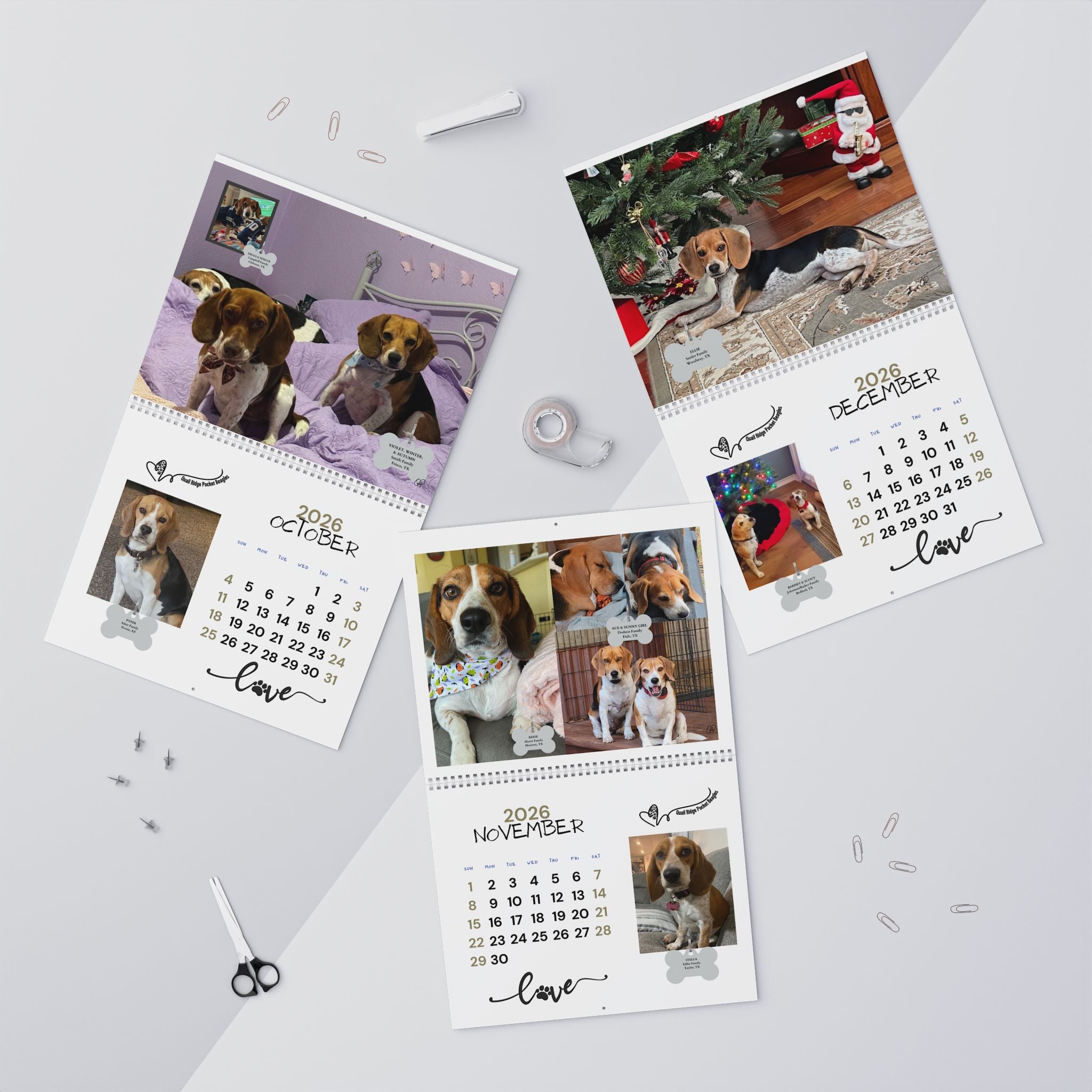 Quail Ridge Pocket Beagle 2026 Wall Calendar – Cute Beagle Photo Calendar for Dog Lovers