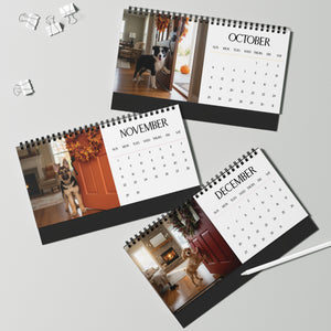 2026 Dog Lover Desktop Calendar - 12 Breeds Greeting You Monthly - 10x5" Tent Easel Spiral Calendar Gift for Dog Moms