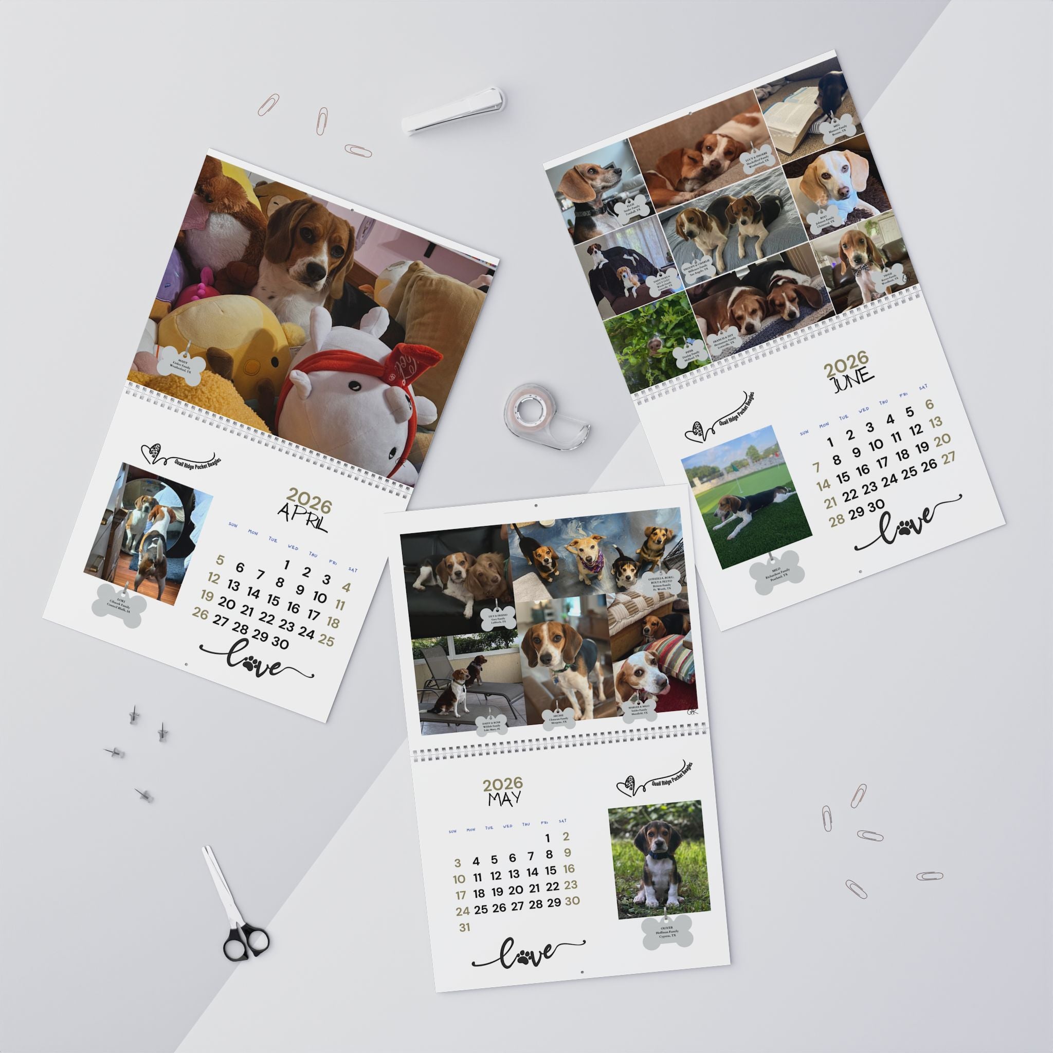Quail Ridge Pocket Beagle 2026 Wall Calendar – Cute Beagle Photo Calendar for Dog Lovers