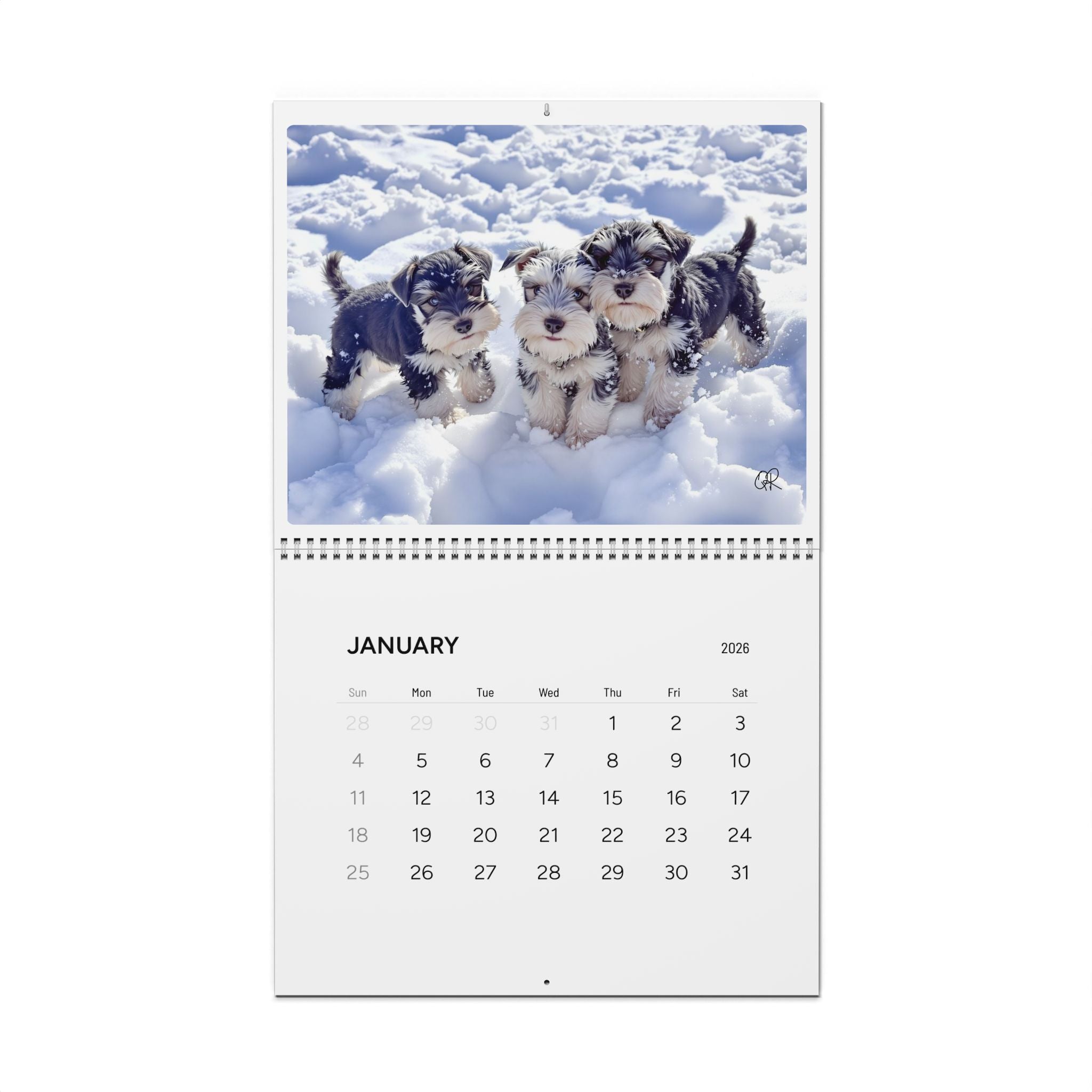 2026 Mini Schnauzer Moments Wall Calendar – 11"x8.5" and 14”x11” Full Size Seasonal Dog Photography