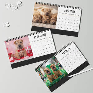 Shar Pei Puppy Calendar 2026 Desk Calendar Cute Dog Gift Pei Pei Lover Doodle Dog Calendar Puppy Desk Decor Stocking Stuffer