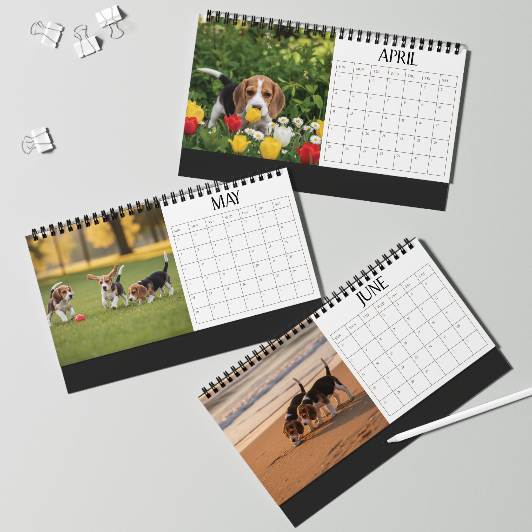 Beagle Desk Calendar Office Decor Dog Lover Gift Idea Secret Santa Present 2027 Monthly Planner Puppy Photography Cute Beagle Tent Calendar