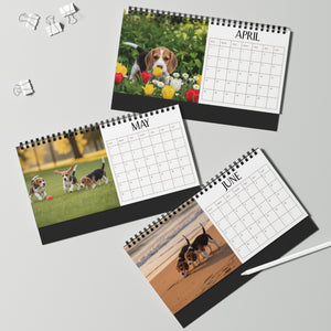 Beagle Desk Calendar Office Decor Dog Lover Gift Idea Secret Santa Present 2027 Monthly Planner Puppy Photography Cute Beagle Tent Calendar