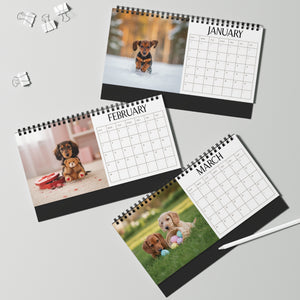 Doxie Desk Calendar Office Decor Dog Lover Gift Idea Secret Santa Present 2027 Monthly Planner Puppy Photography Cute Doxie Tent Calendar