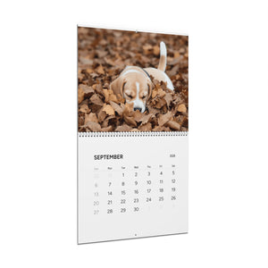 Beagle Puppy Wall Calendar 2026 | Cute Dog Photography Monthly Calendar
