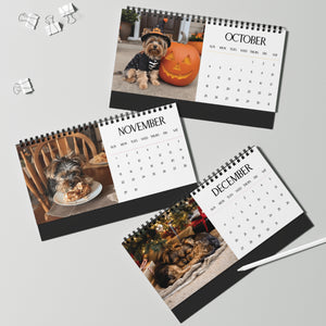 Cute Yorkie Puppy 2026 Desk Calendar Cute Puppy Desktop Calendar Dog Lover Gift Pet Desk Decor Cute Animal Desk Accessory Birthday Gift for Dog Mom