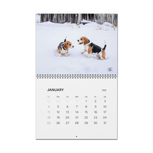 Beagle Puppy Wall Calendar 2026 | Cute Dog Photography Monthly Calendar
