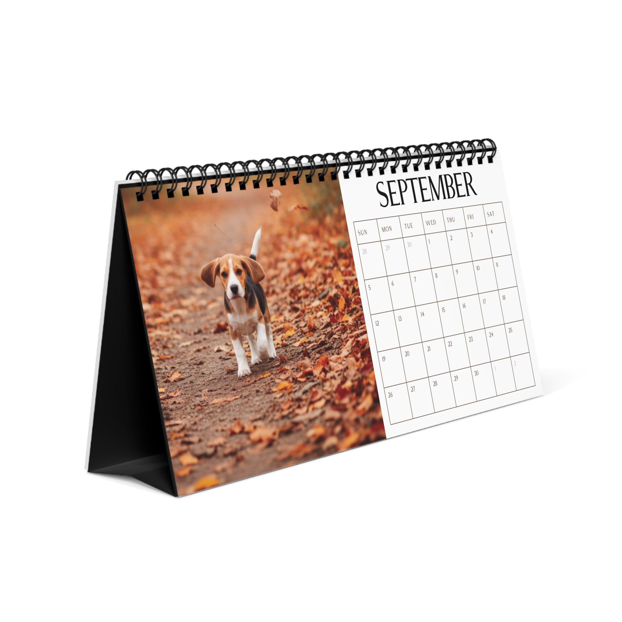 Beagle Desk Calendar Office Decor Dog Lover Gift Idea Secret Santa Present 2027 Monthly Planner Puppy Photography Cute Beagle Tent Calendar