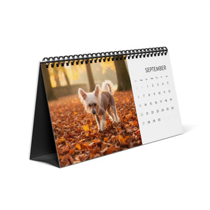 Bare Beauty Chinese Crested Calendar 2026 Hairless Dog Desk Calendar Dog Lover Gift Desktop Calendar Dog Mom Gift Stocking Stuffer
