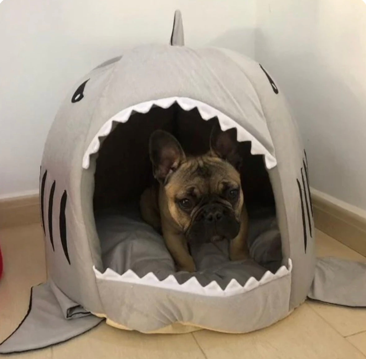 Cozy Shark Dog Bed | Where Comfort Meets Classic Cinema