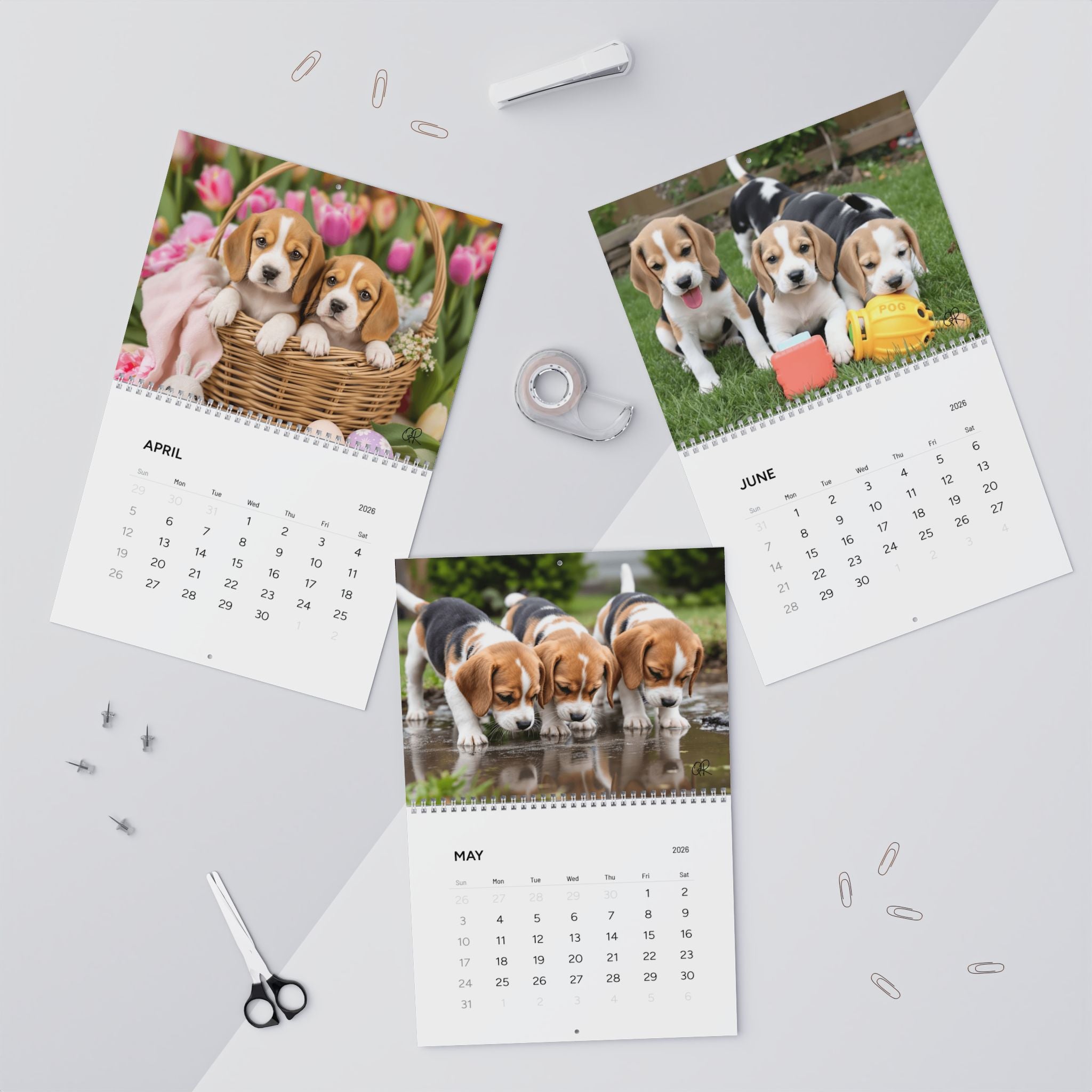 Beagle Puppy Wall Calendar 2026 | Cute Dog Photography Monthly Calendar