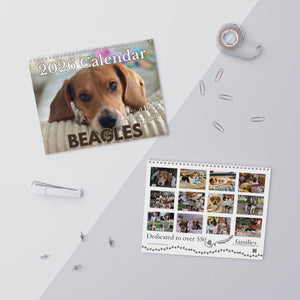 Quail Ridge Pocket Beagle 2026 Wall Calendar – Cute Beagle Photo Calendar for Dog Lovers