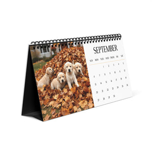 Calendar with ladrador puppies in leaves on a white background