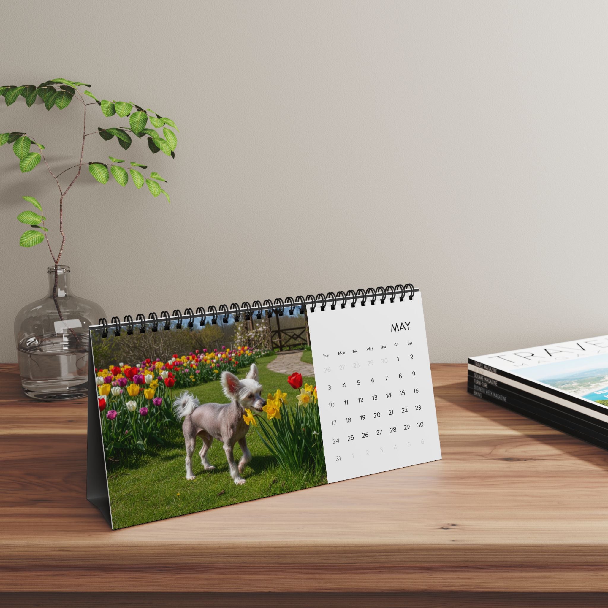 Bare Beauty Chinese Crested Calendar 2026 Hairless Dog Desk Calendar Dog Lover Gift Desktop Calendar Dog Mom Gift Stocking Stuffer