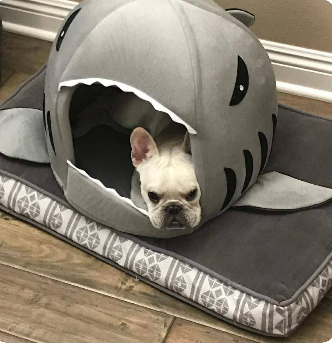 Cozy Shark Dog Bed | Where Comfort Meets Classic Cinema