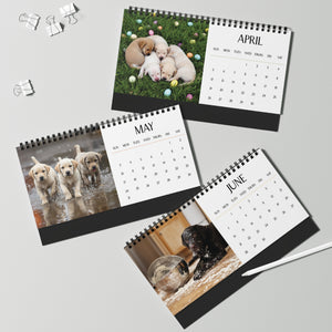 2026 Labrador Puppy Desk Calendar Cute Puppy Desktop Calendar Dog Lover Gift Pet Desk Decor Cute Animal Desk Accessory Birthday Gift for Dog Mom