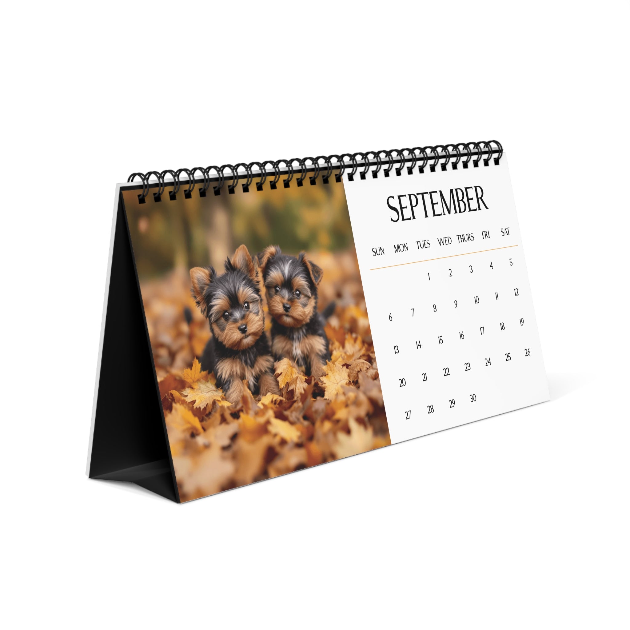 Cute Yorkie Puppy 2026 Desk Calendar Cute Puppy Desktop Calendar Dog Lover Gift Pet Desk Decor Cute Animal Desk Accessory Birthday Gift for Dog Mom