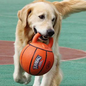 Interactive Dog Basketball and Football Toy Ball