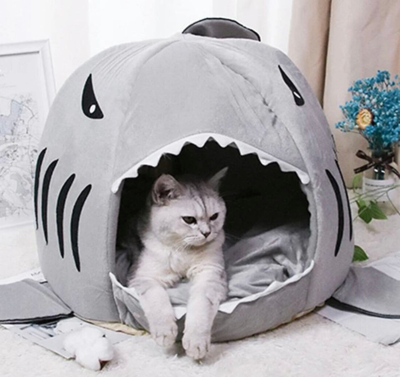 Cozy Shark Dog Bed | Where Comfort Meets Classic Cinema
