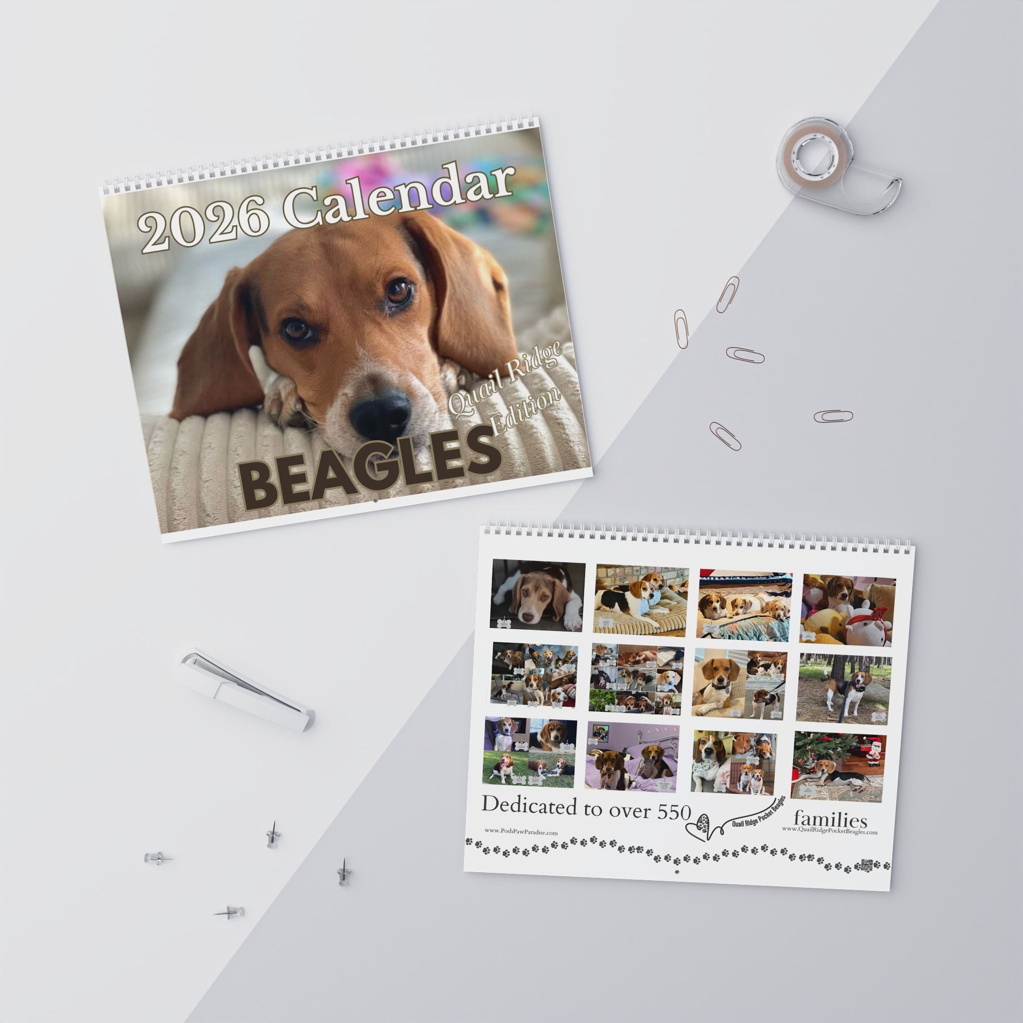 Quail Ridge Pocket Beagle 2026 Wall Calendar – Cute Beagle Photo Calendar for Dog Lovers