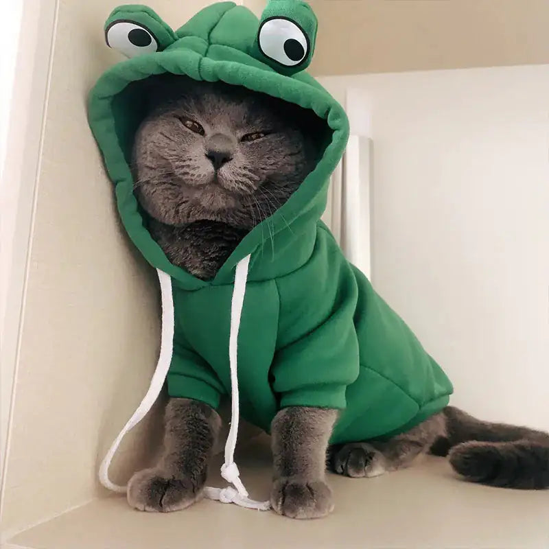 Costume, Cute And Cozy Costumes For Pet Frog |Carrot |Banana