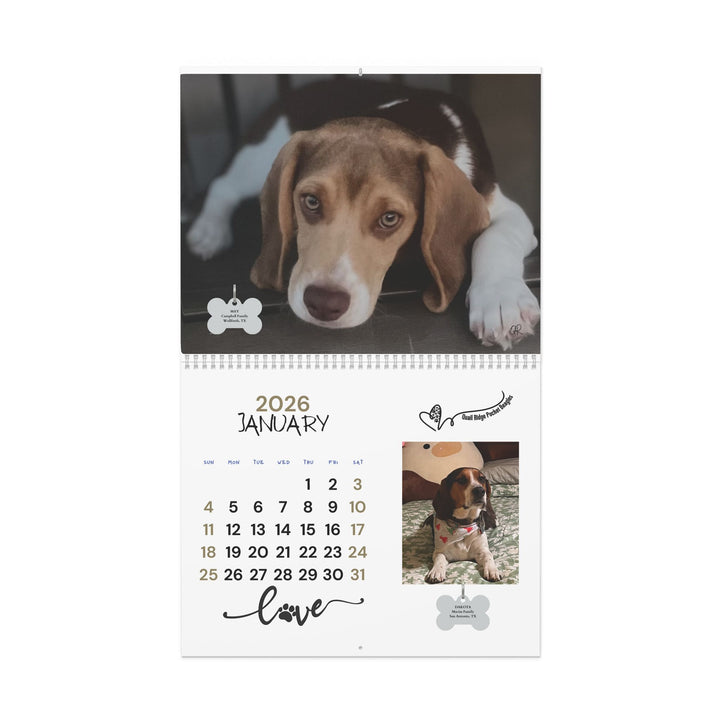 Quail Ridge Pocket Beagle 2026 Wall Calendar – Cute Beagle Photo Calendar for Dog Lovers