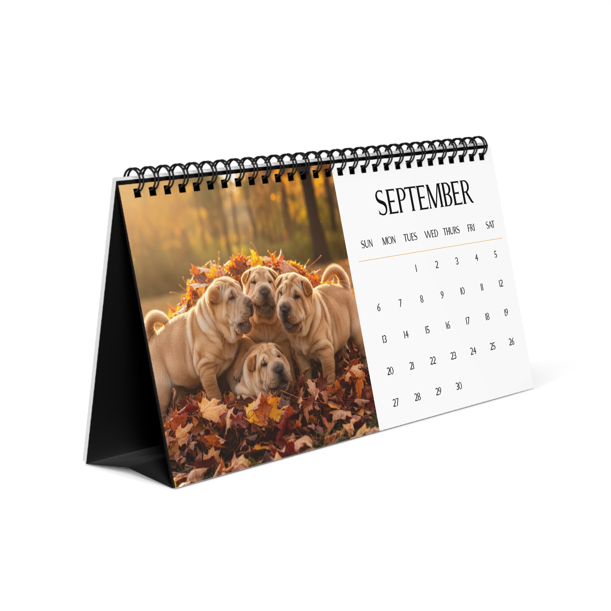 Shar Pei Puppy Calendar 2026 Desk Calendar Cute Dog Gift Pei Pei Lover Doodle Dog Calendar Puppy Desk Decor Stocking Stuffer