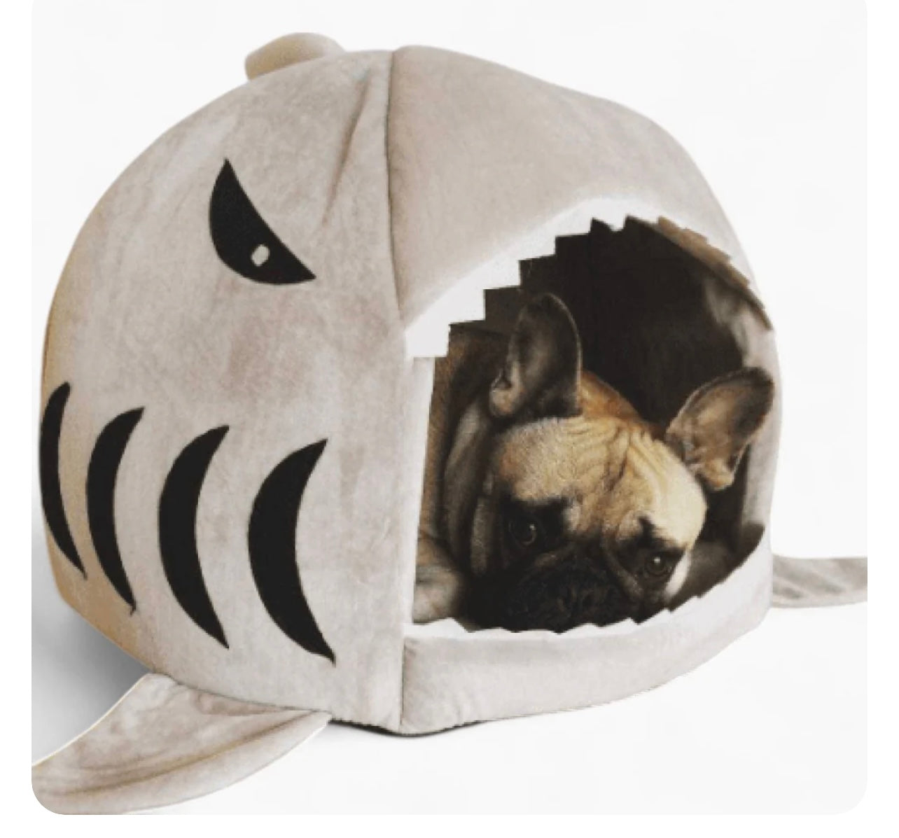 Cozy Shark Dog Bed | Where Comfort Meets Classic Cinema