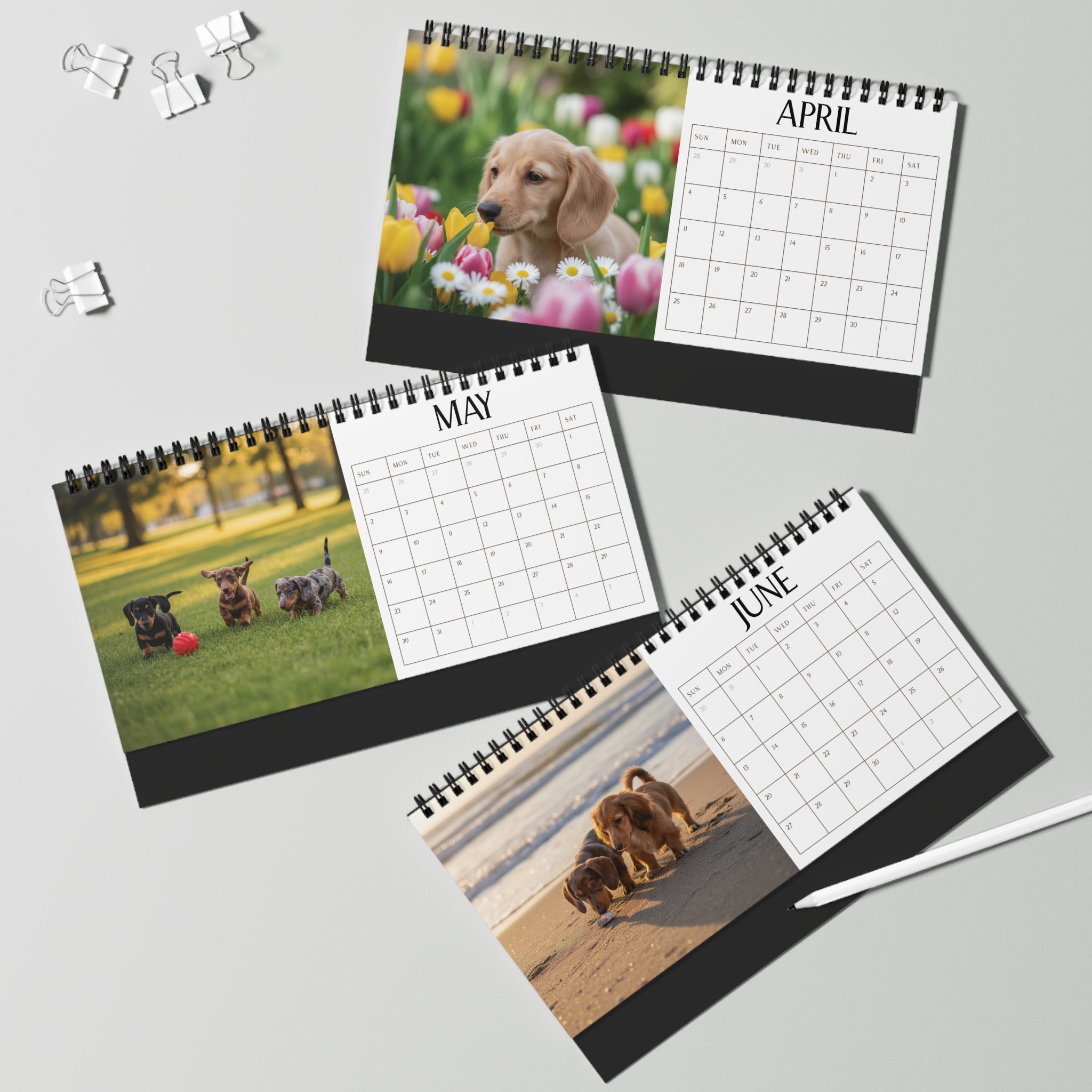 Doxie Desk Calendar Office Decor Dog Lover Gift Idea Secret Santa Present 2027 Monthly Planner Puppy Photography Cute Doxie Tent Calendar