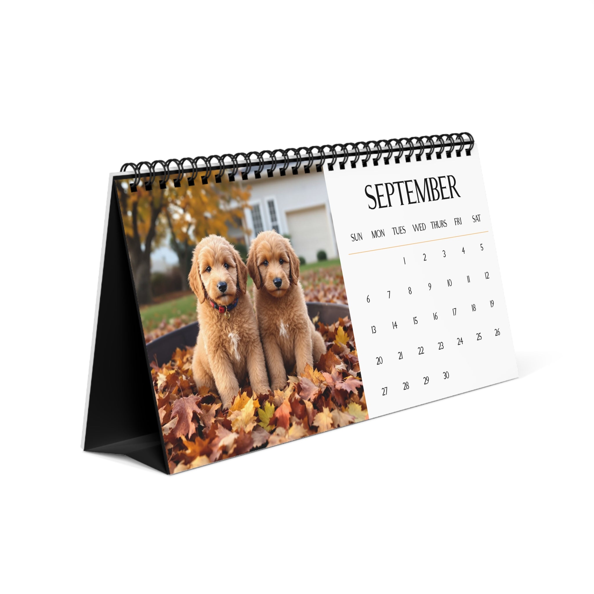 Goldendoodle Puppy Calendar 2026 Desk Calendar Cute Dog Gift Goldendoodle Lover Doodle Dog Calendar Puppy Desk Decor