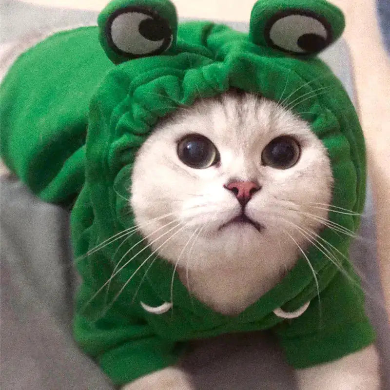 Costume, Cute And Cozy Costumes For Pet Frog |Carrot |Banana